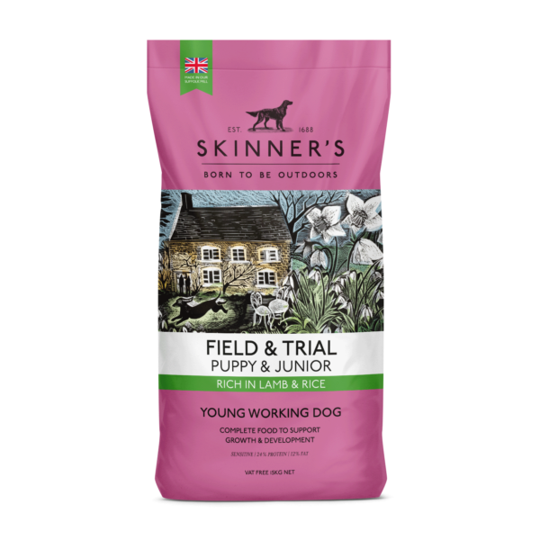 Field And Trial Puppy And Junior