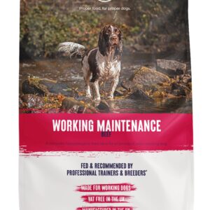 Working Maintenance Alpha