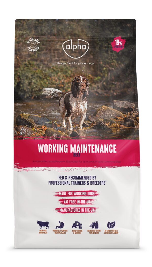 Working Maintenance Alpha