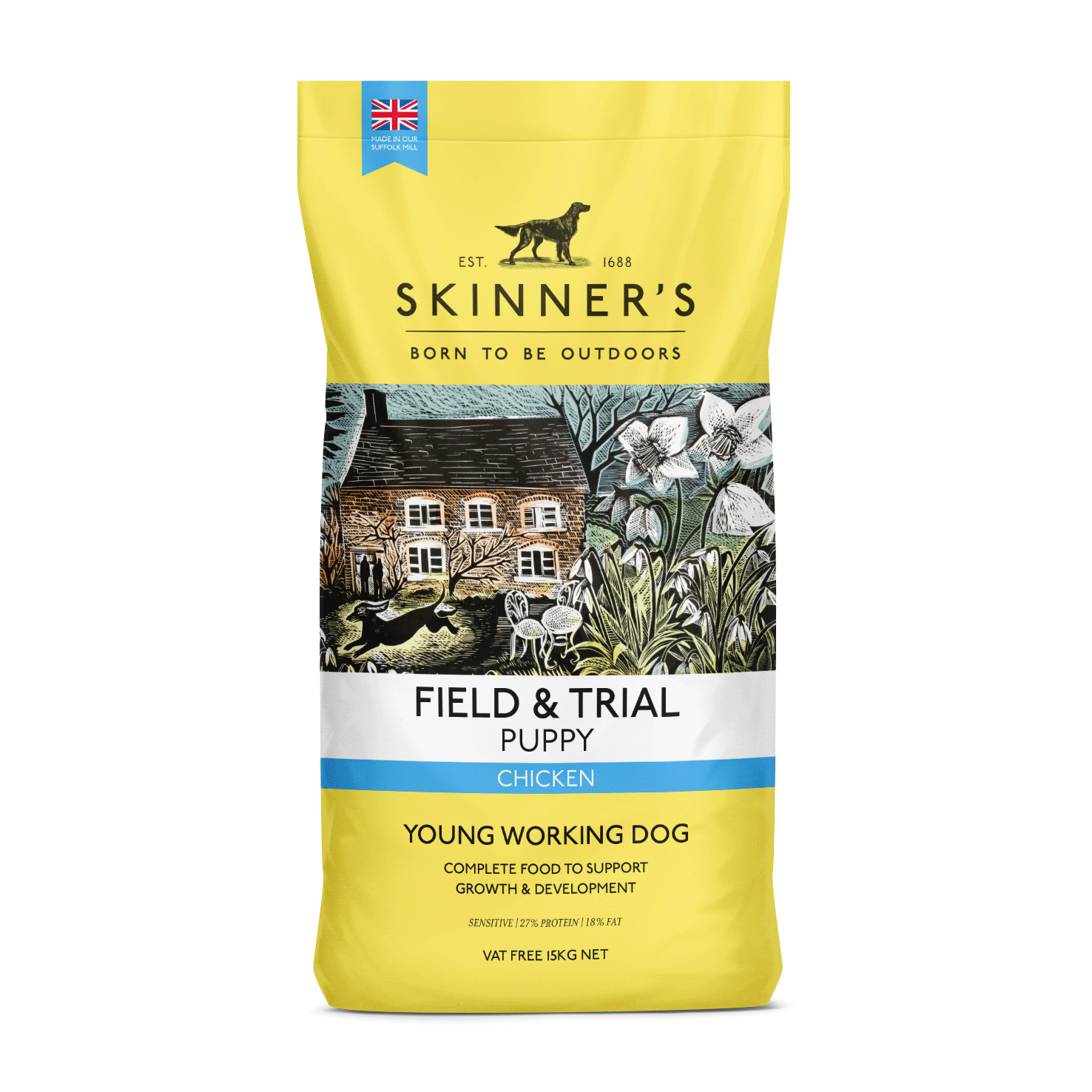 Field &trial Puppy